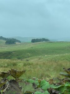 Beautiful Countryside Views